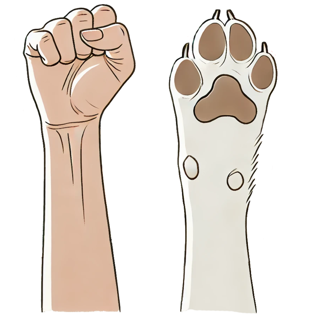 Logo de la compañía